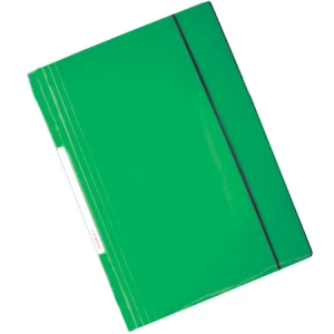 CARPETA TEORIA C/ELAST.CAR13