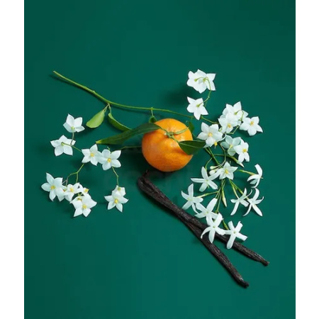 PERFUME BENETTON SISTERLAND GREEN JASMINE EDT 80ML - Imagen 3