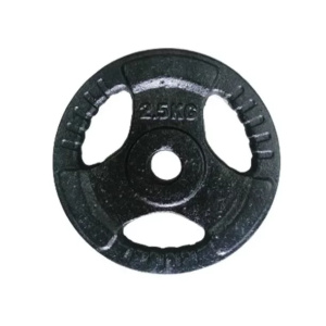 DISCO HIERRO 2.5 Kg