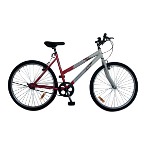 BICICLETA SKYLAND MTB ROD. 26