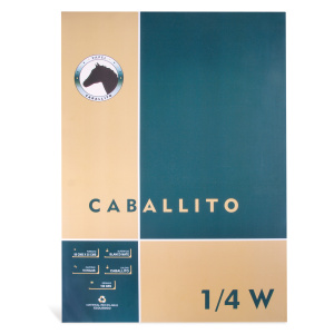 BLOCK CABALLITO 1/4W 10H