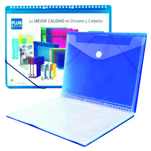 CARPETA C/30 FUNDAS A4