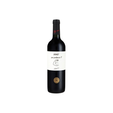 VINO CABERNET SAUVIGNON TANNAT FRASES H.STAGNARI
