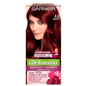 TINTA GARNIER CASTAÑO ROJIZO T. 4.6