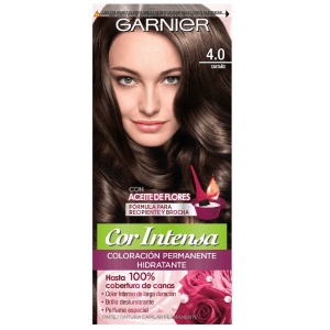 TINTA GARNIER CASTAÑO T. 4.0