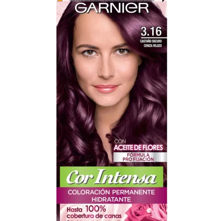 TINTA GARNIER CASTAÑO OSCURO CENIZA ROJIZO T. 3.16