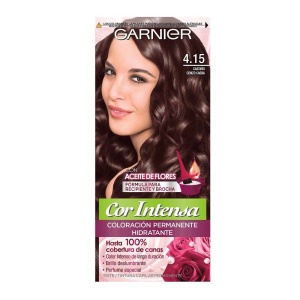 TINTA GARNIER CASTAÑO CENIZO CAOBA T. 4.15