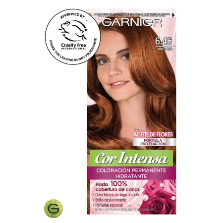 TINTA GARNIER ROJO COBRIZO T. 6.46