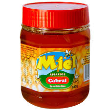 MIEL APIARIOS CABRAL 480 GR.