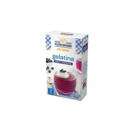 GELATINA FLEISCHMAN ARANDANOS 190 GR