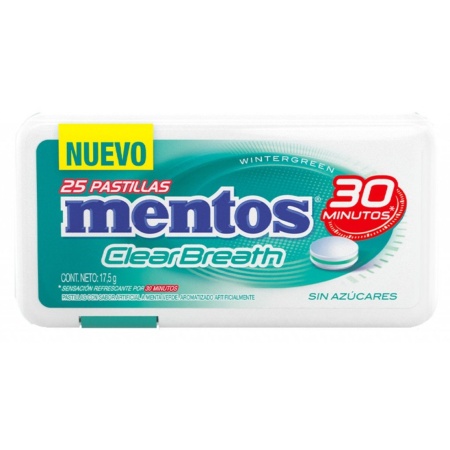 PASTILLAS MENTOS WINTERGREEN X 25