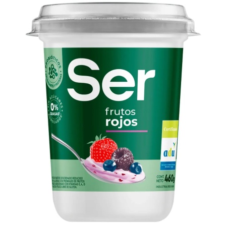 YOGUR SER BIG FRUTOS ROJOS POTE 460 GR