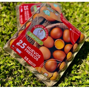 HUEVOS ESPINO X 25