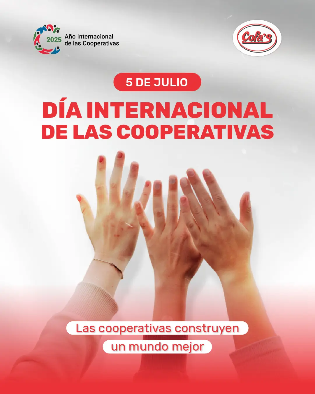 Novedad