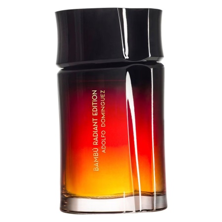 PERFUME ADOLFO DOMINGUEZ AGUA DE BAMBU RADIANT MAN 120 ML