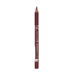 DELINEADOR DE LABIOS NEWCOLOR ROSA 751