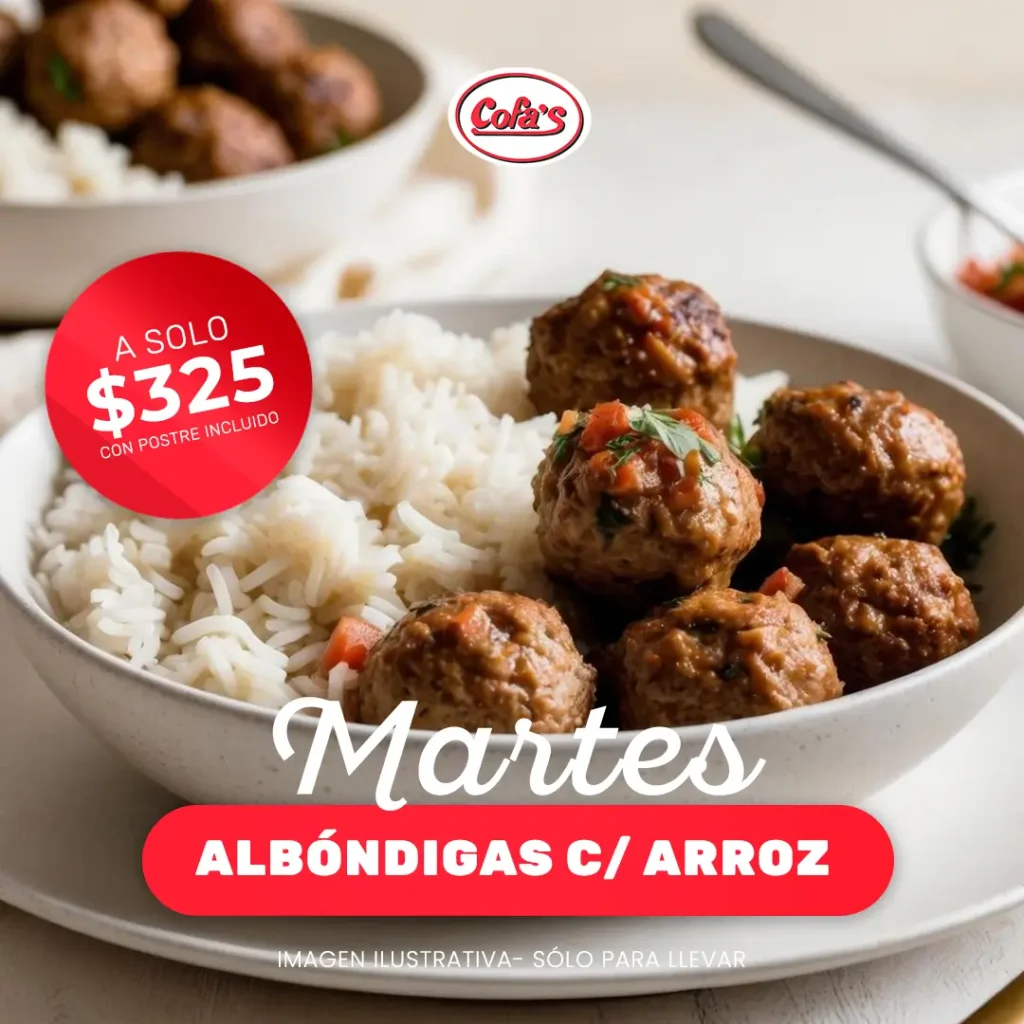Albóndigas con arroz