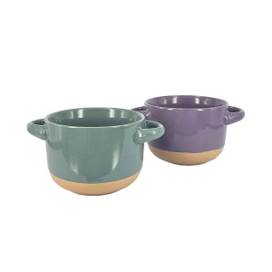 BOWL 600 ML CON ASAS